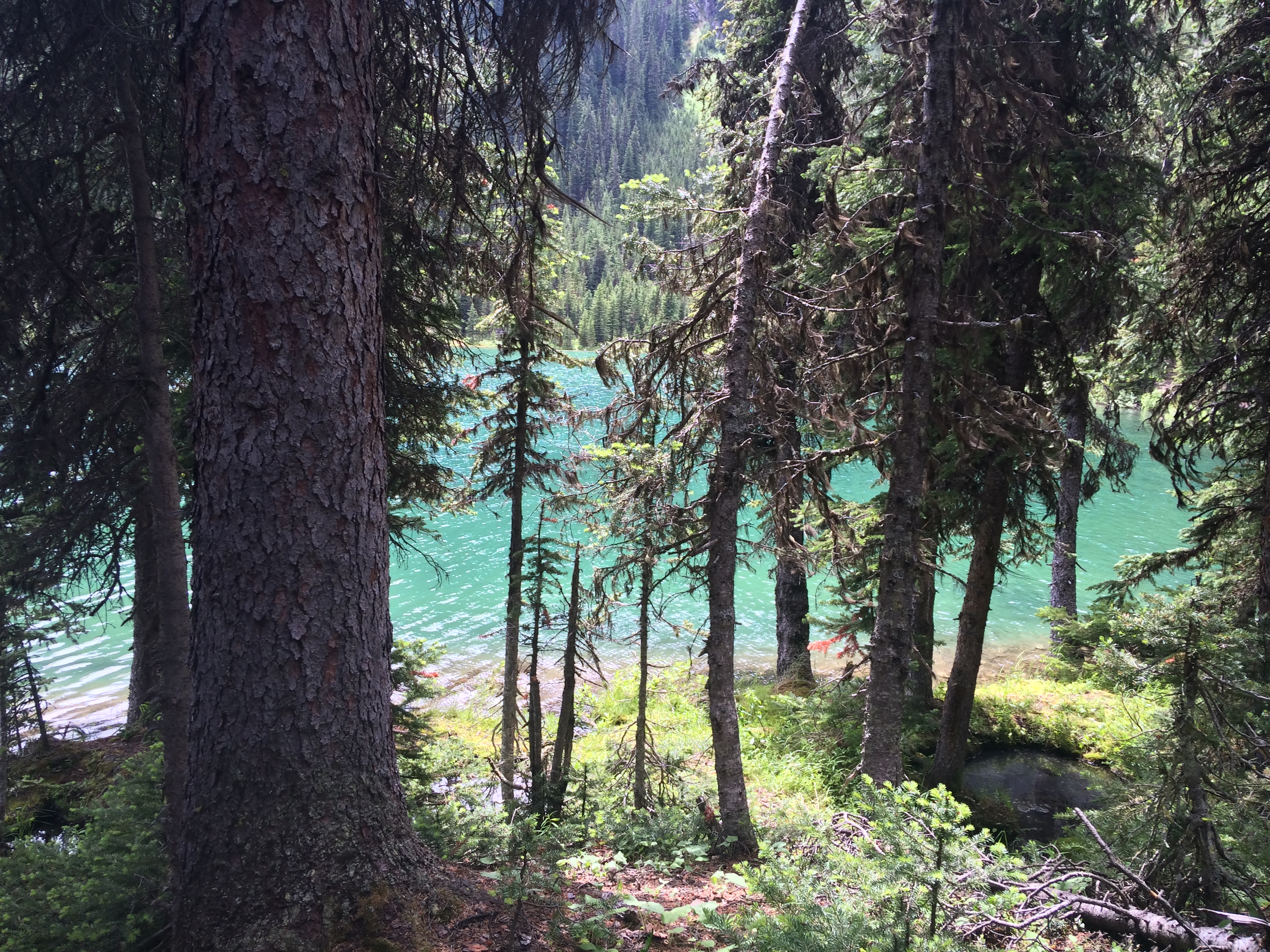 Hike to Lillian Lake and Galatea Lakes 