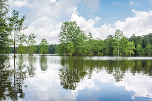 Hike the Bob Trail at Trap Pond SP