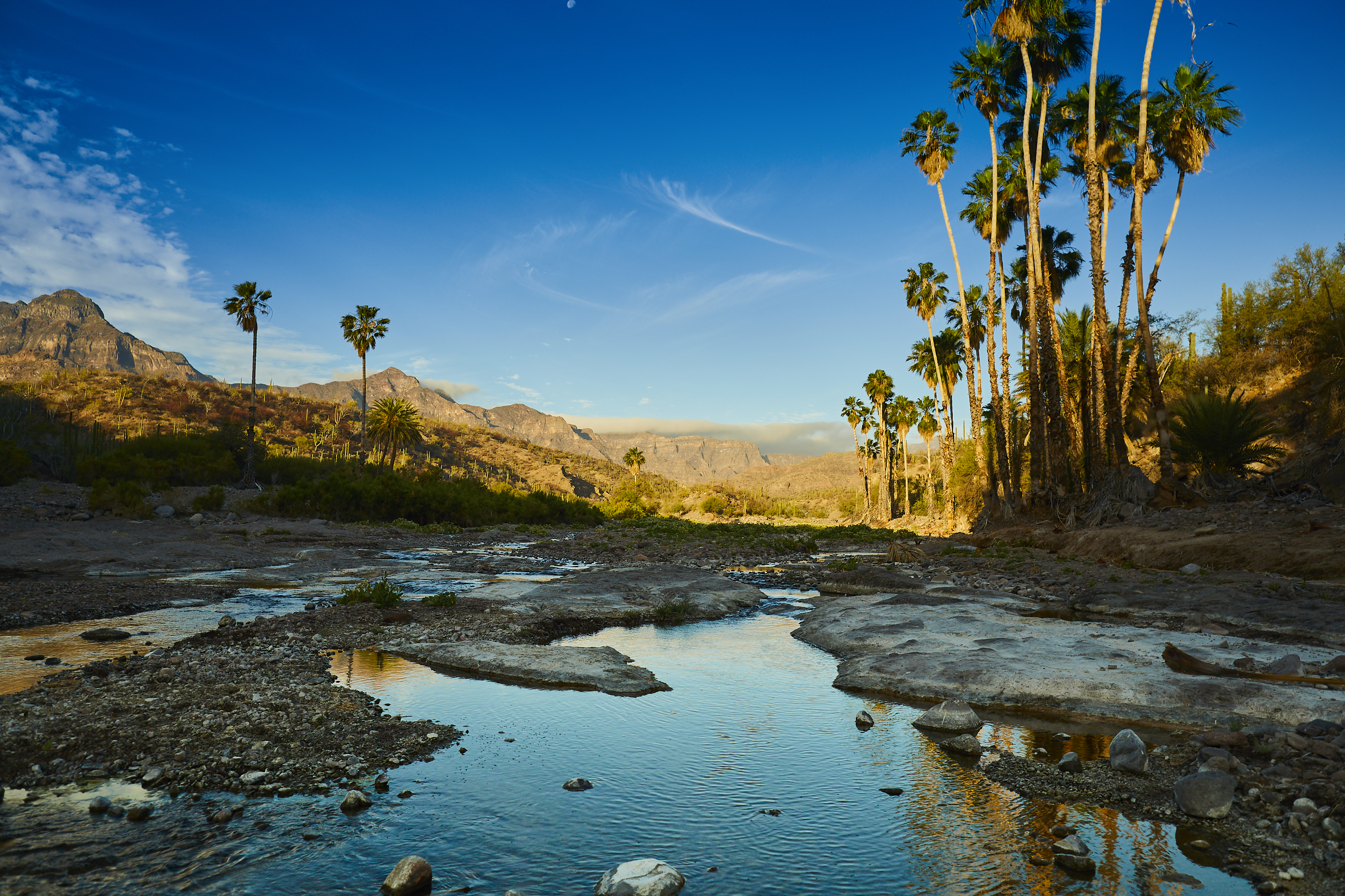 Hike El Tular Canyon in the Sierra de la Gigante Mountains