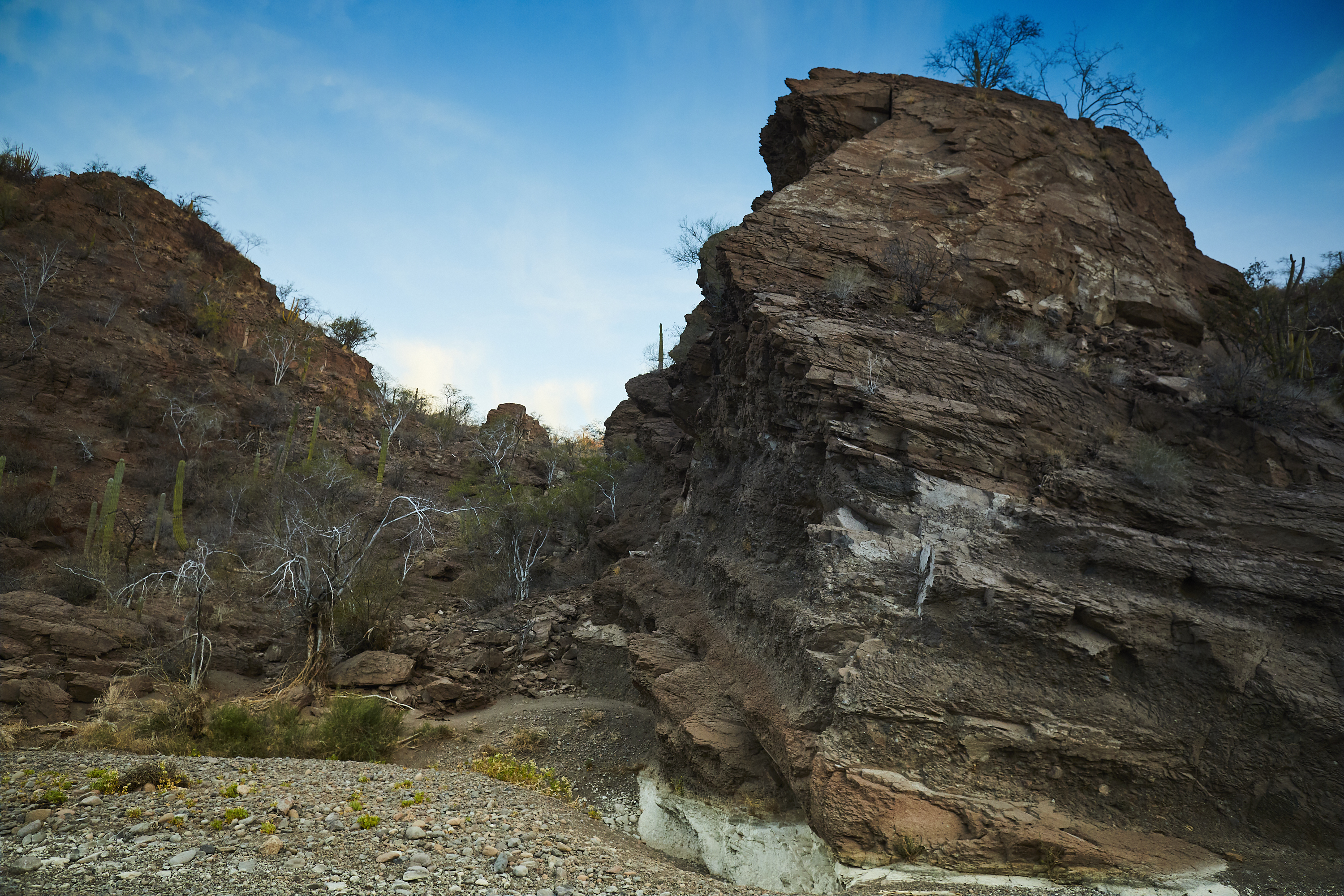 Hike El Tular Canyon in the Sierra de la Gigante Mountains
