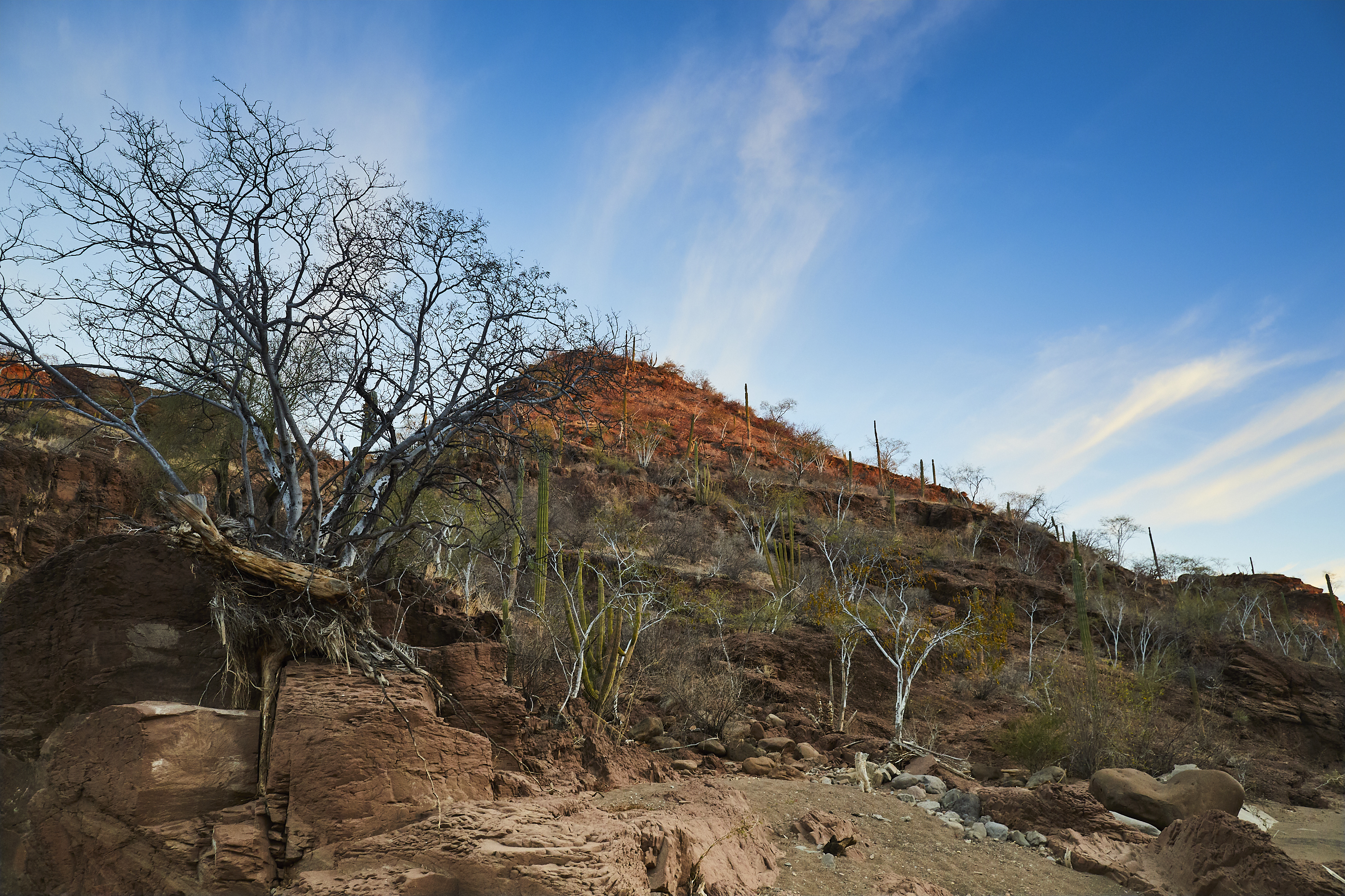 Hike El Tular Canyon in the Sierra de la Gigante Mountains