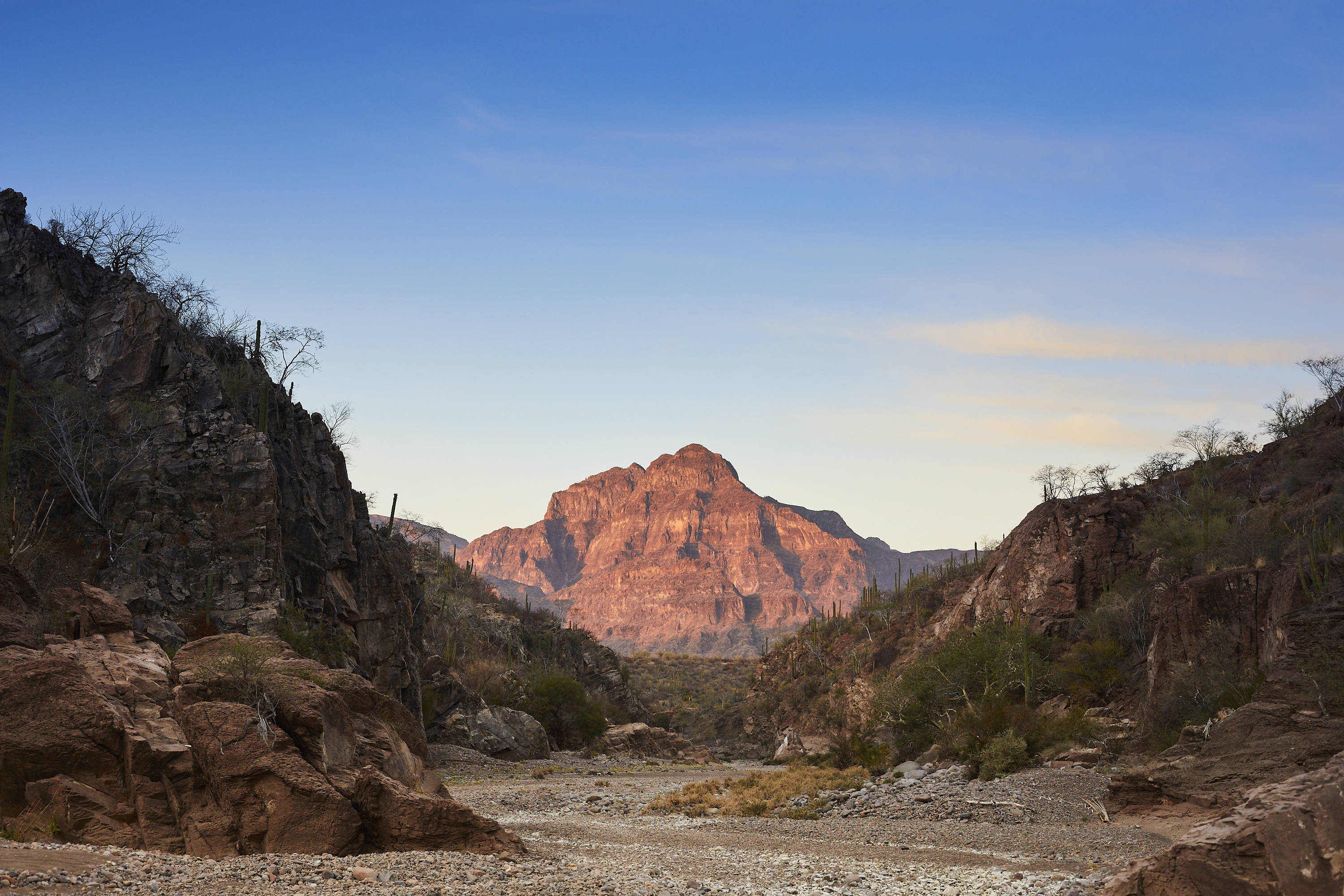 Hike El Tular Canyon in the Sierra de la Gigante Mountains