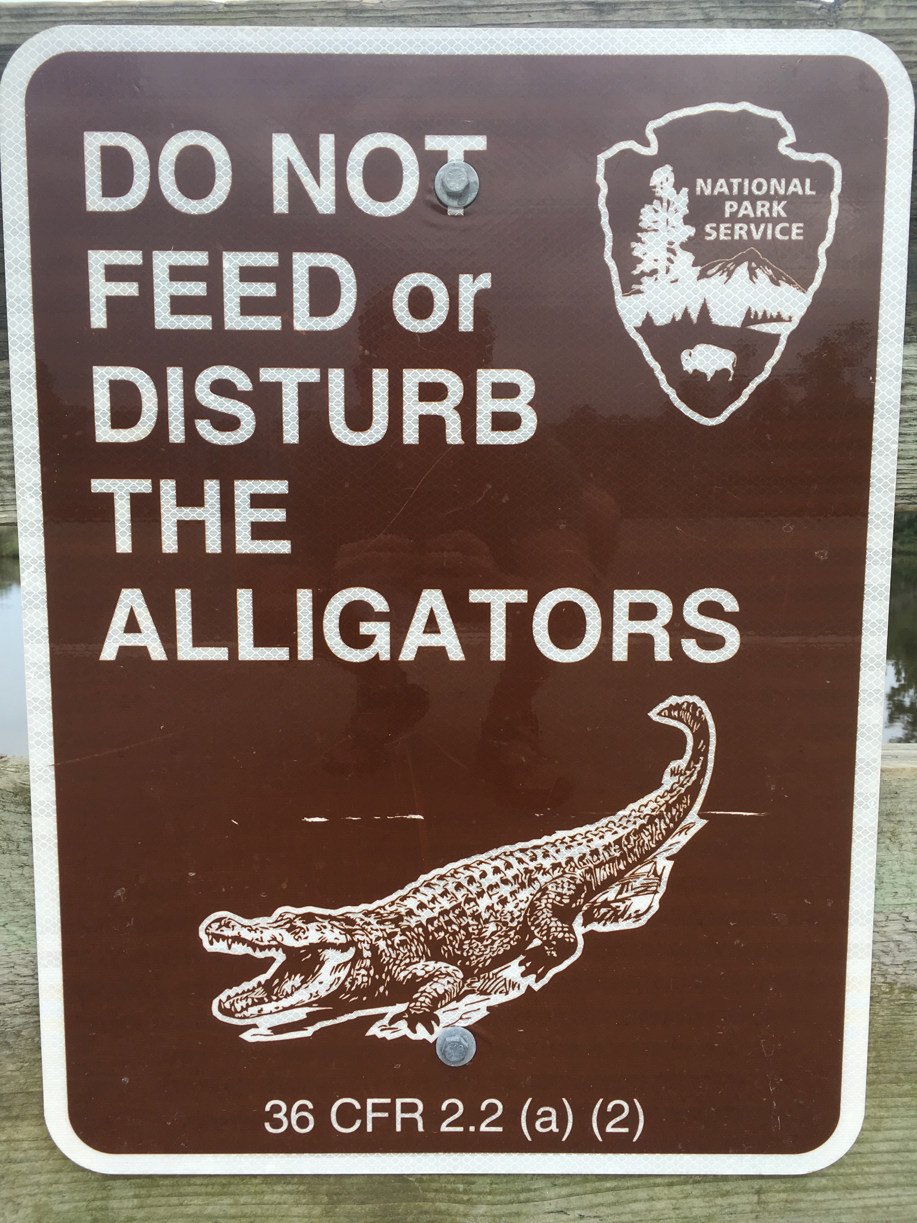 Photograph the Wildlife at Davis Bayou Area