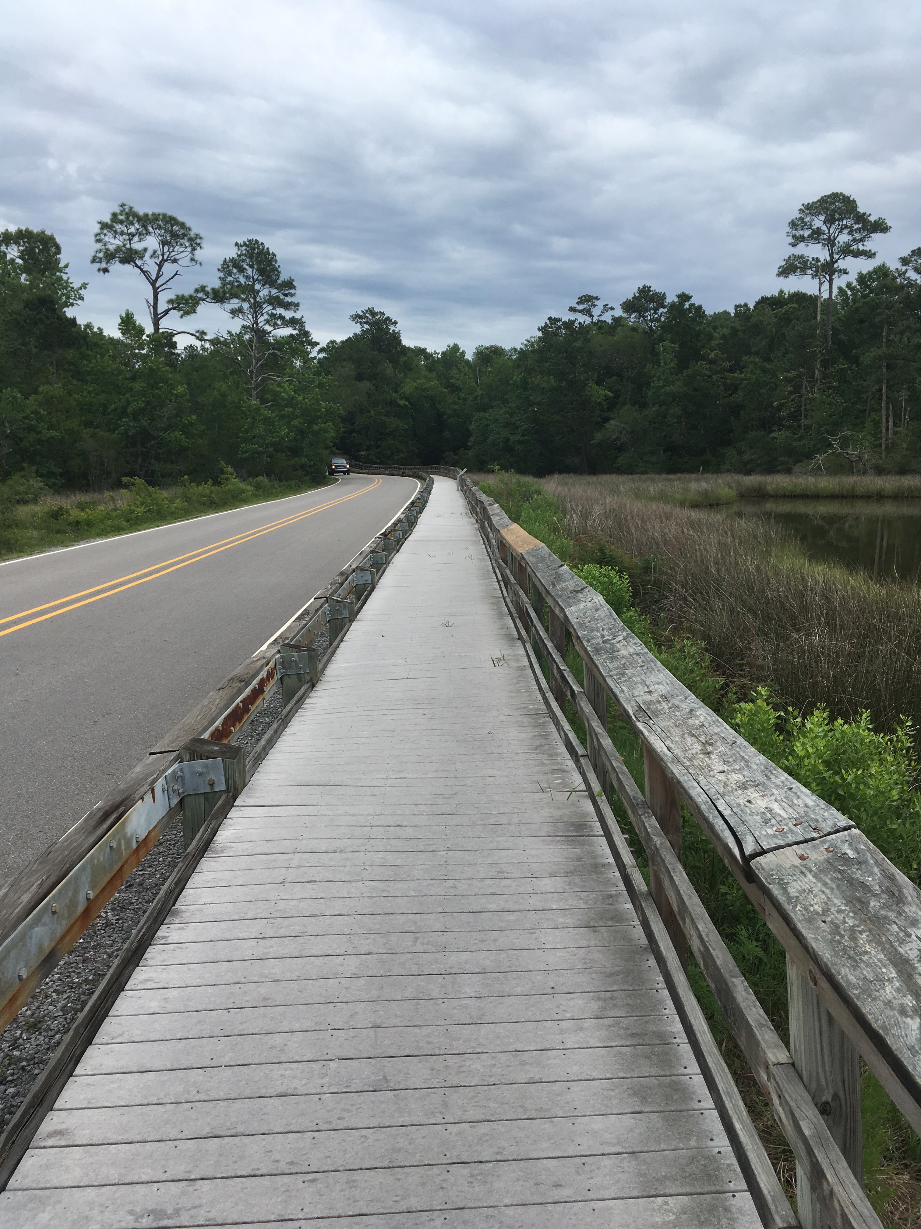 Photograph the Wildlife at Davis Bayou Area