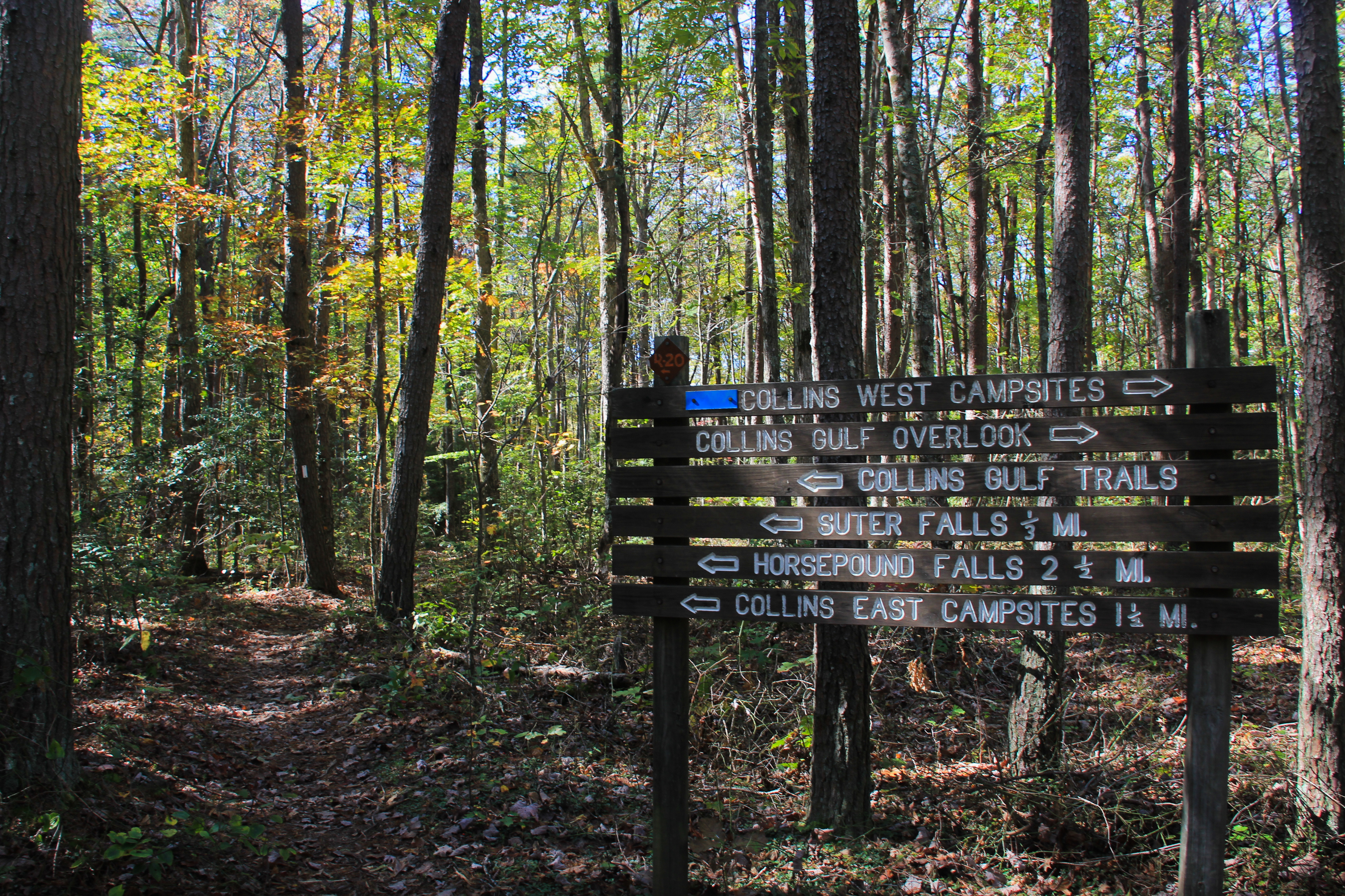 Hike to Suter and Horsepound Falls