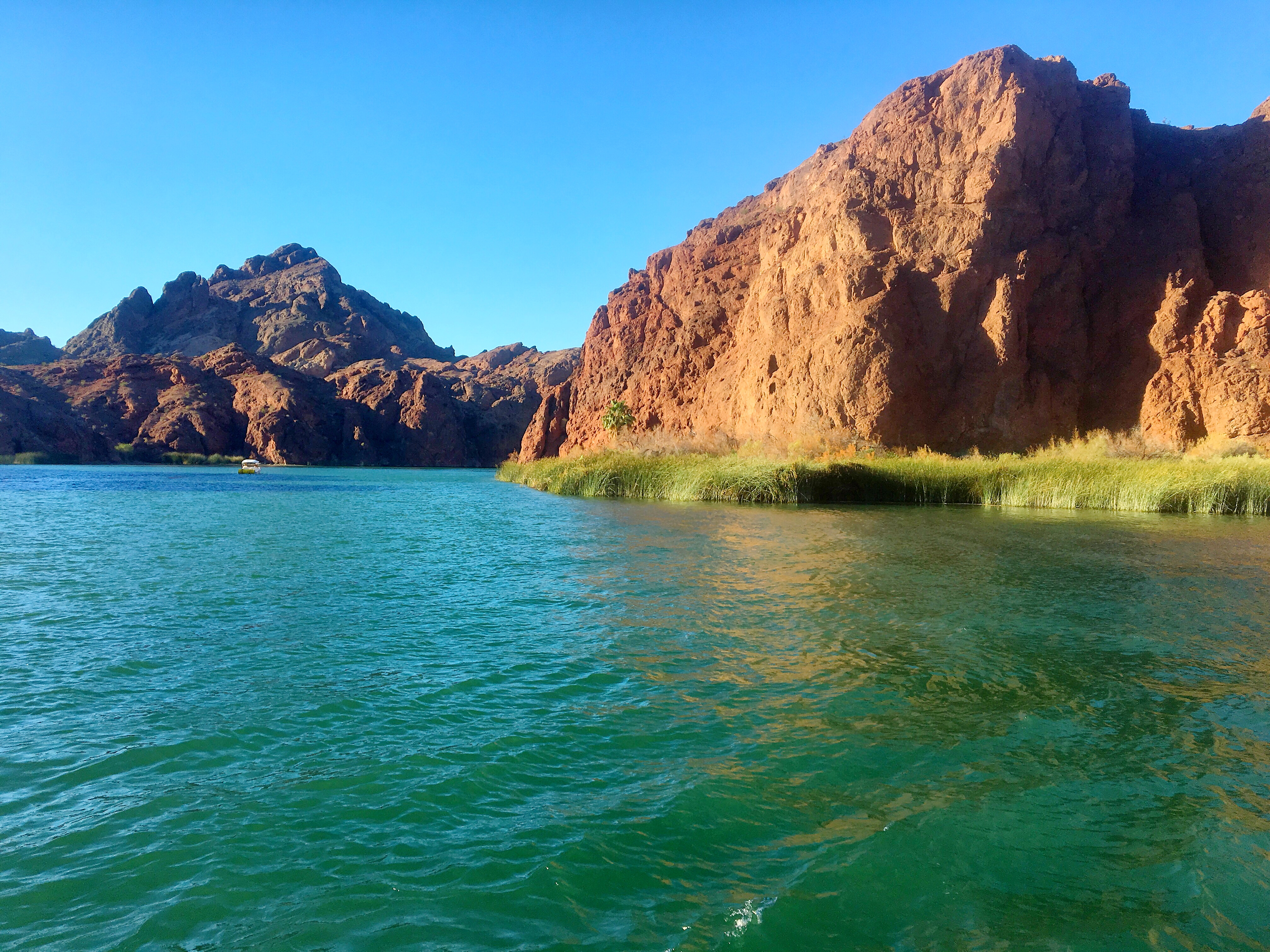 Camp at Lake Havasu State Park