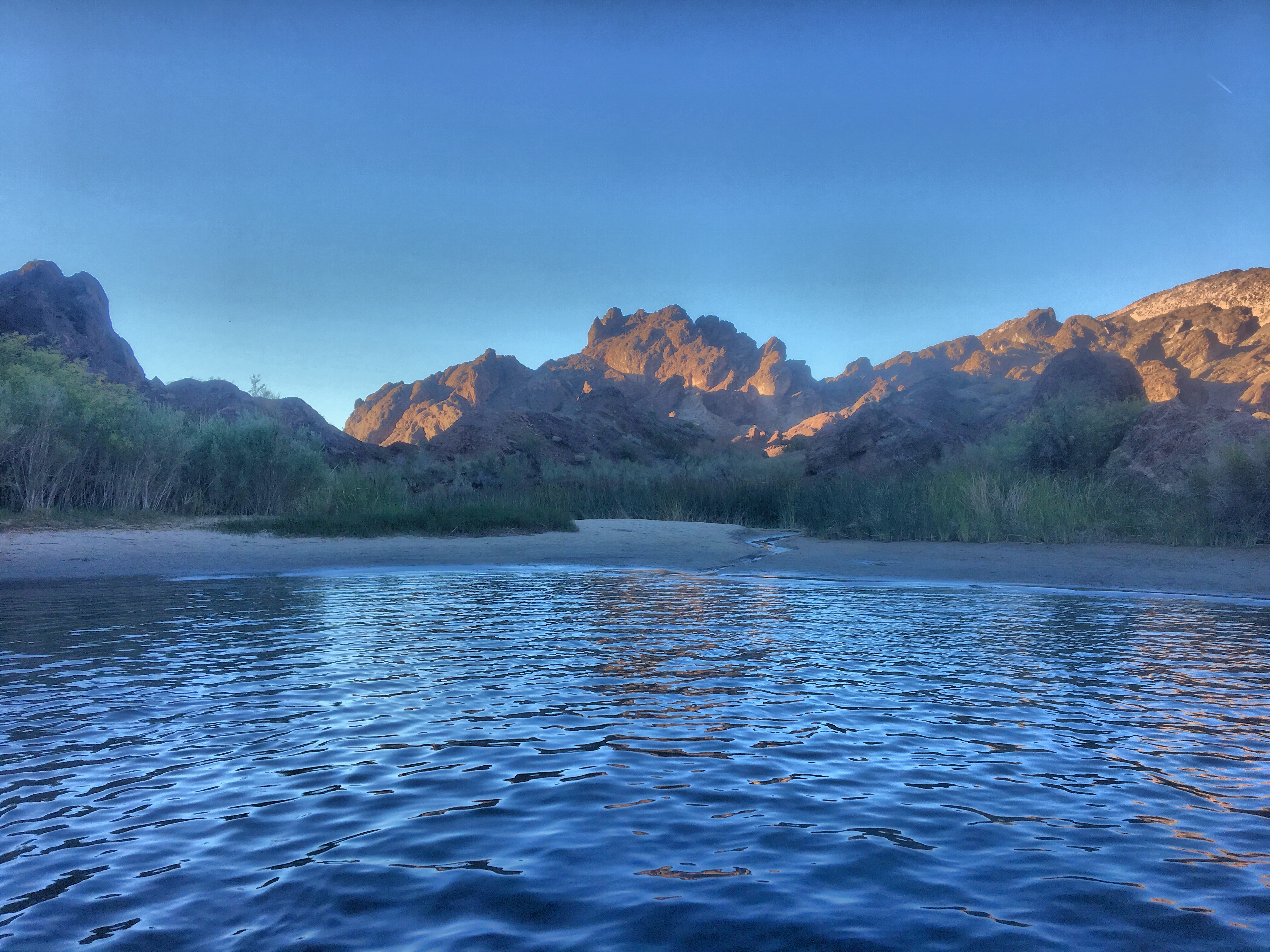 Camp at Lake Havasu State Park