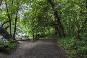 Hike from Riverbend Regional Park to Great Falls National Park