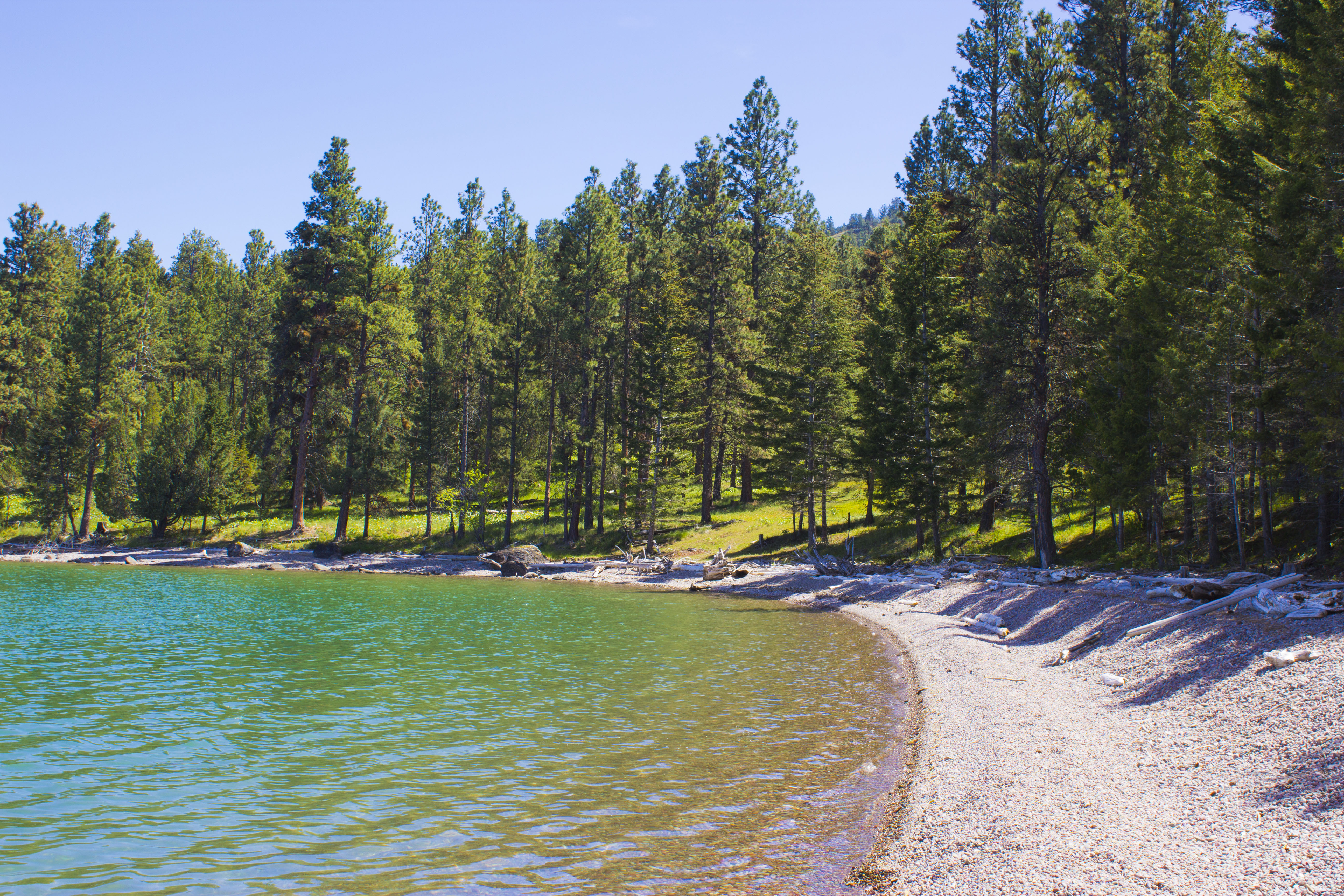 Kayak to Wild Horse Island