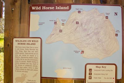 Kayak to Wild Horse Island