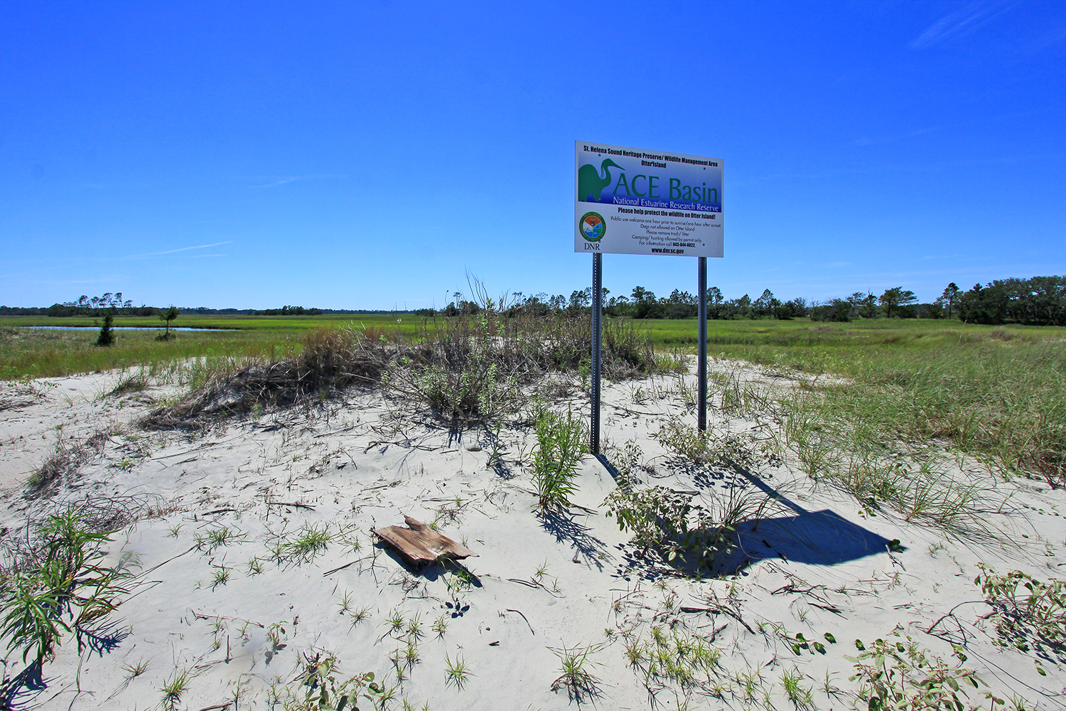 Kayak to Otter Islands