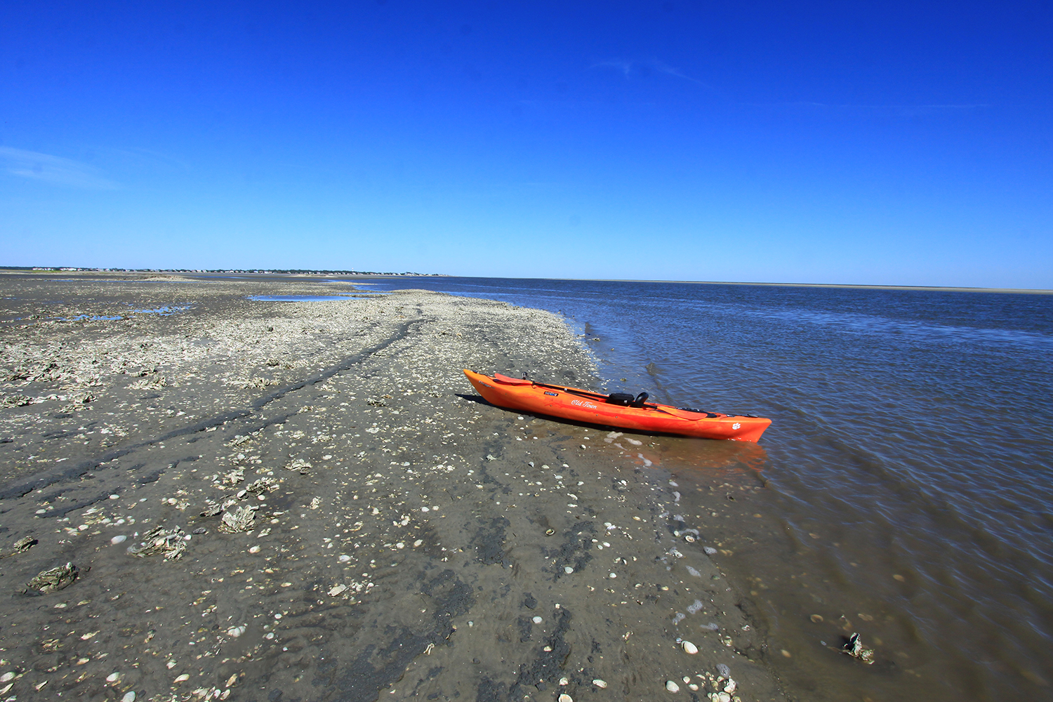 Kayak to Otter Islands