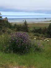 Bike the Wild Rivers Scenic Bikeway