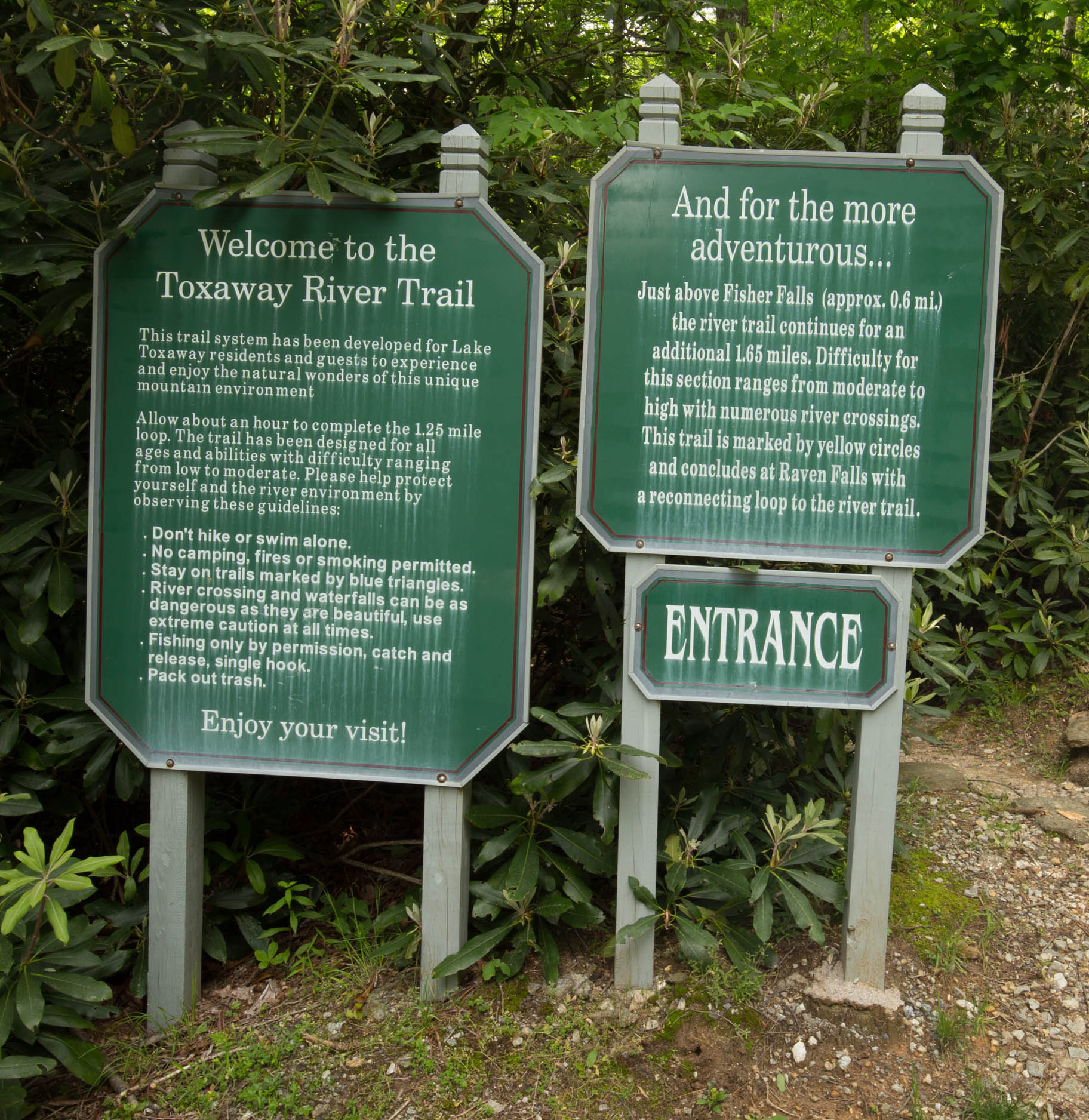 Hike the Toxaway River Trail