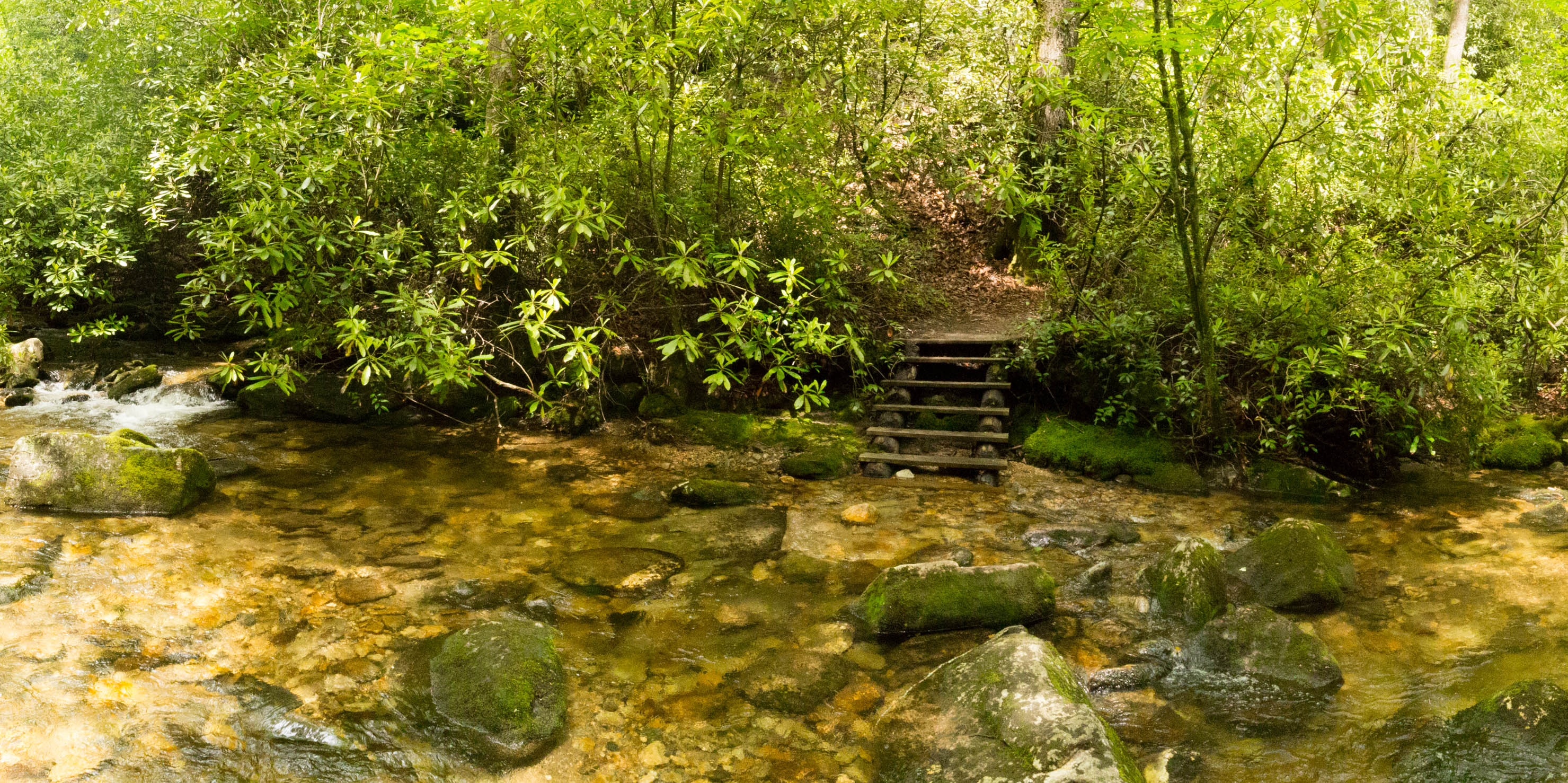 Hike the Toxaway River Trail