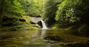 Hike the Toxaway River Trail