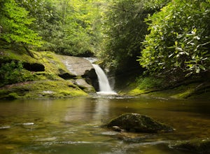Hike the Toxaway River Trail