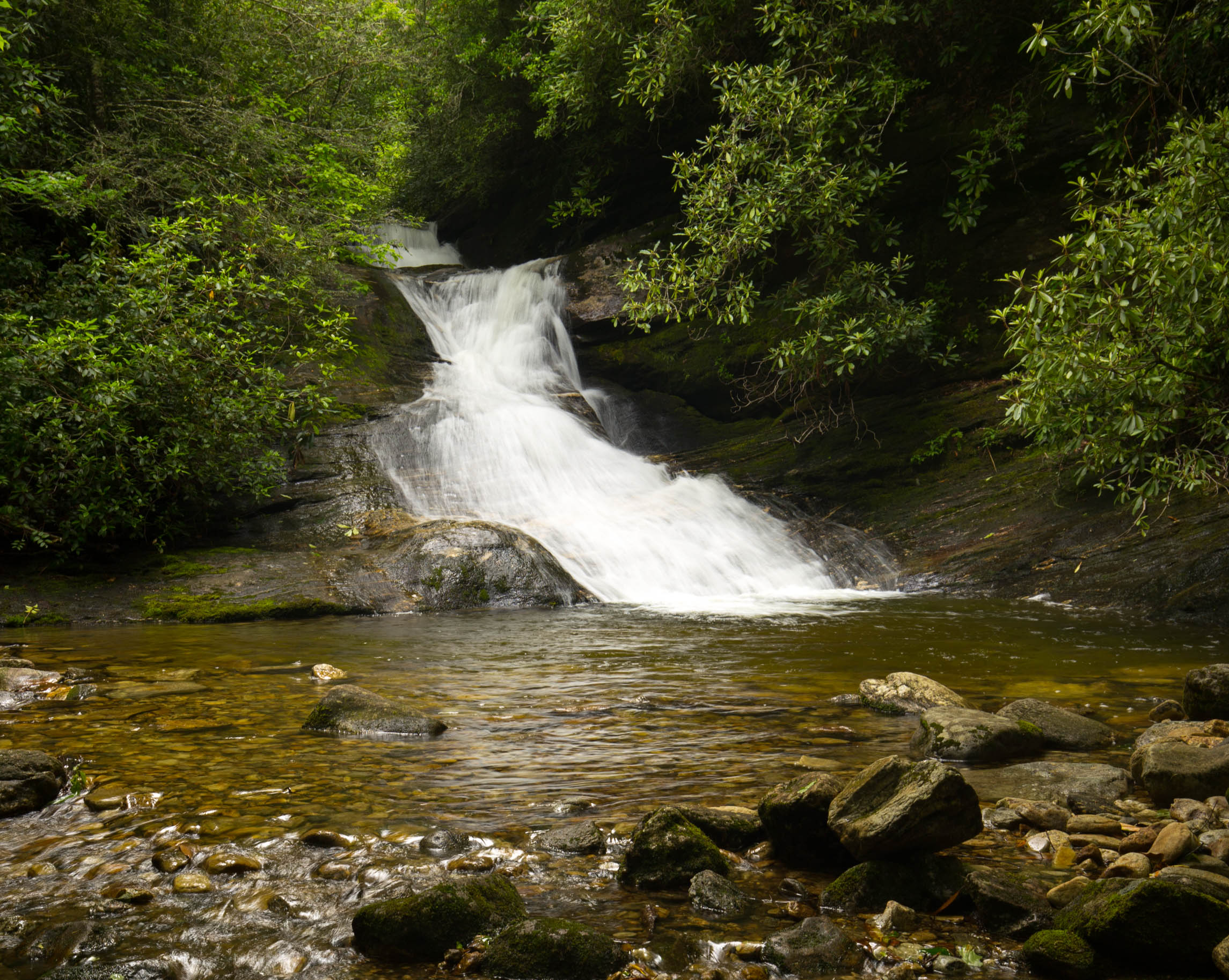 Hike the Toxaway River Trail