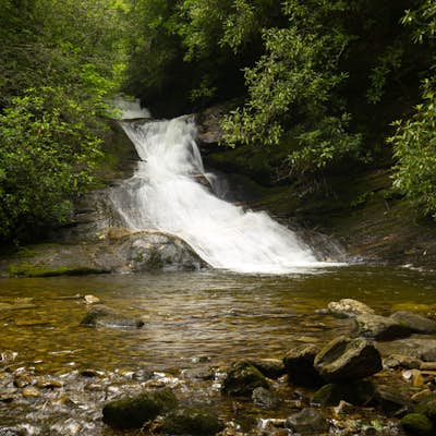 Hike the Toxaway River Trail