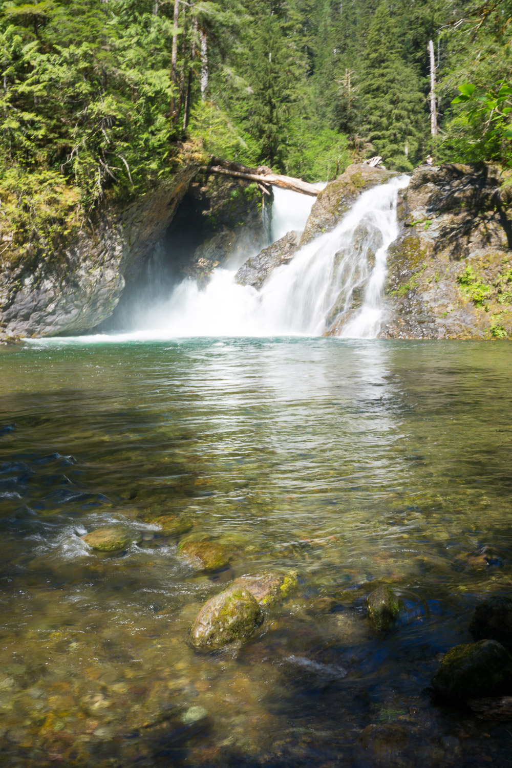 Wynoochee Falls