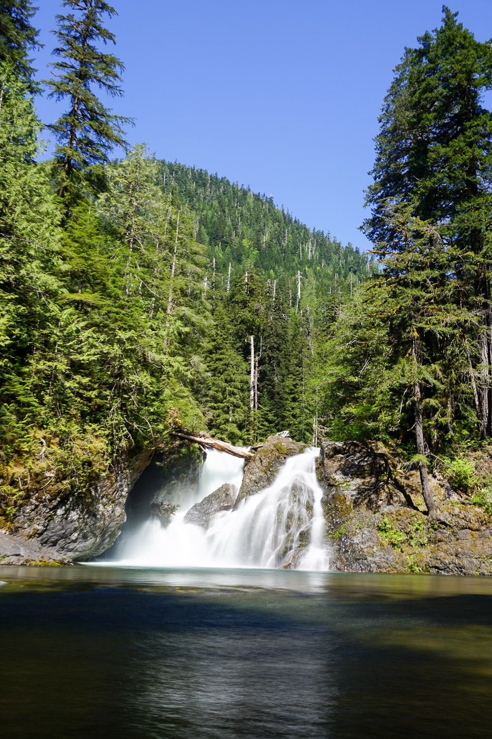 Wynoochee Falls