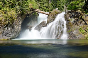 Hike to Wynoochee Falls