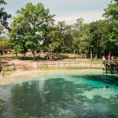 Swim at Blue Springs Park