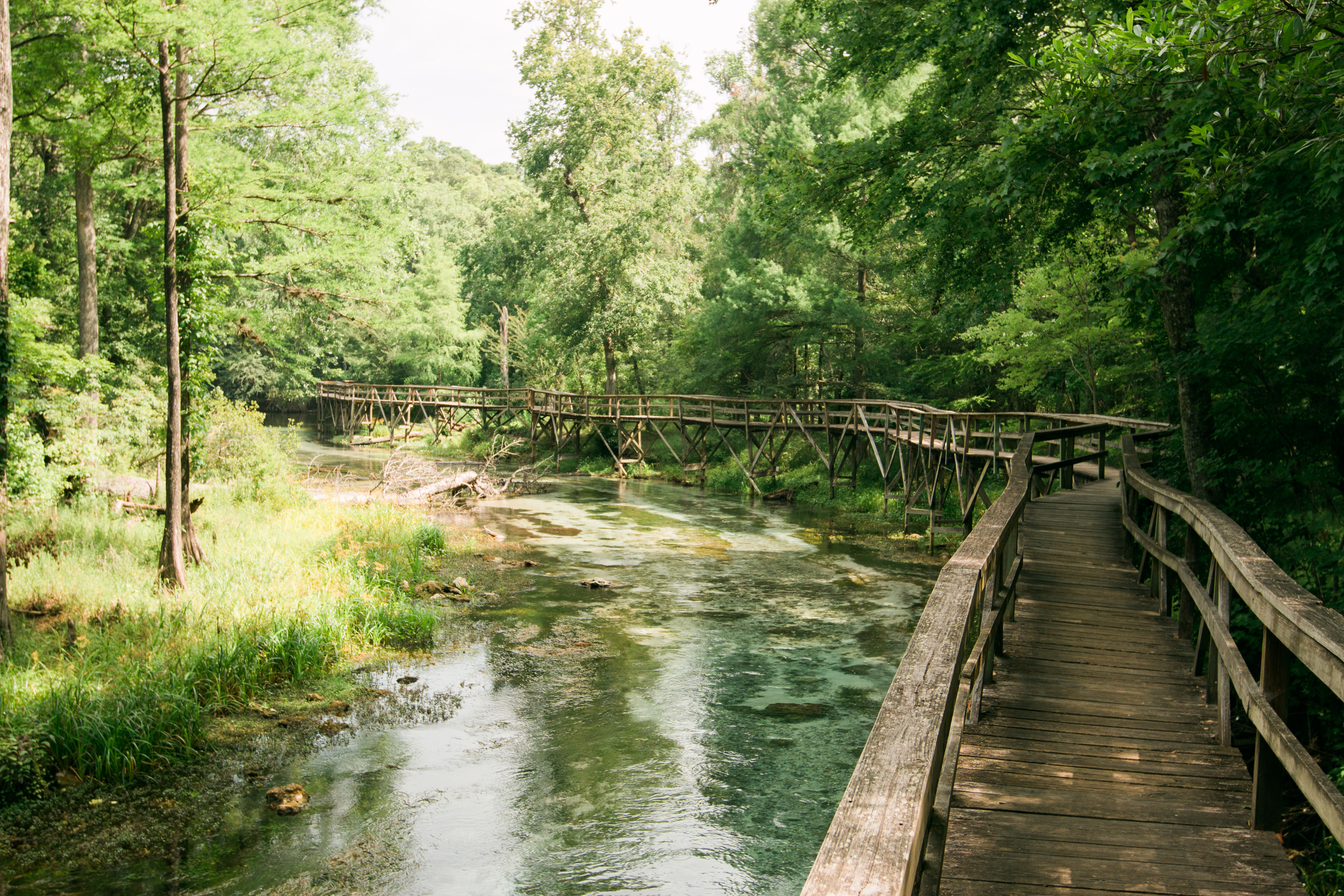Swim at Blue Springs Park