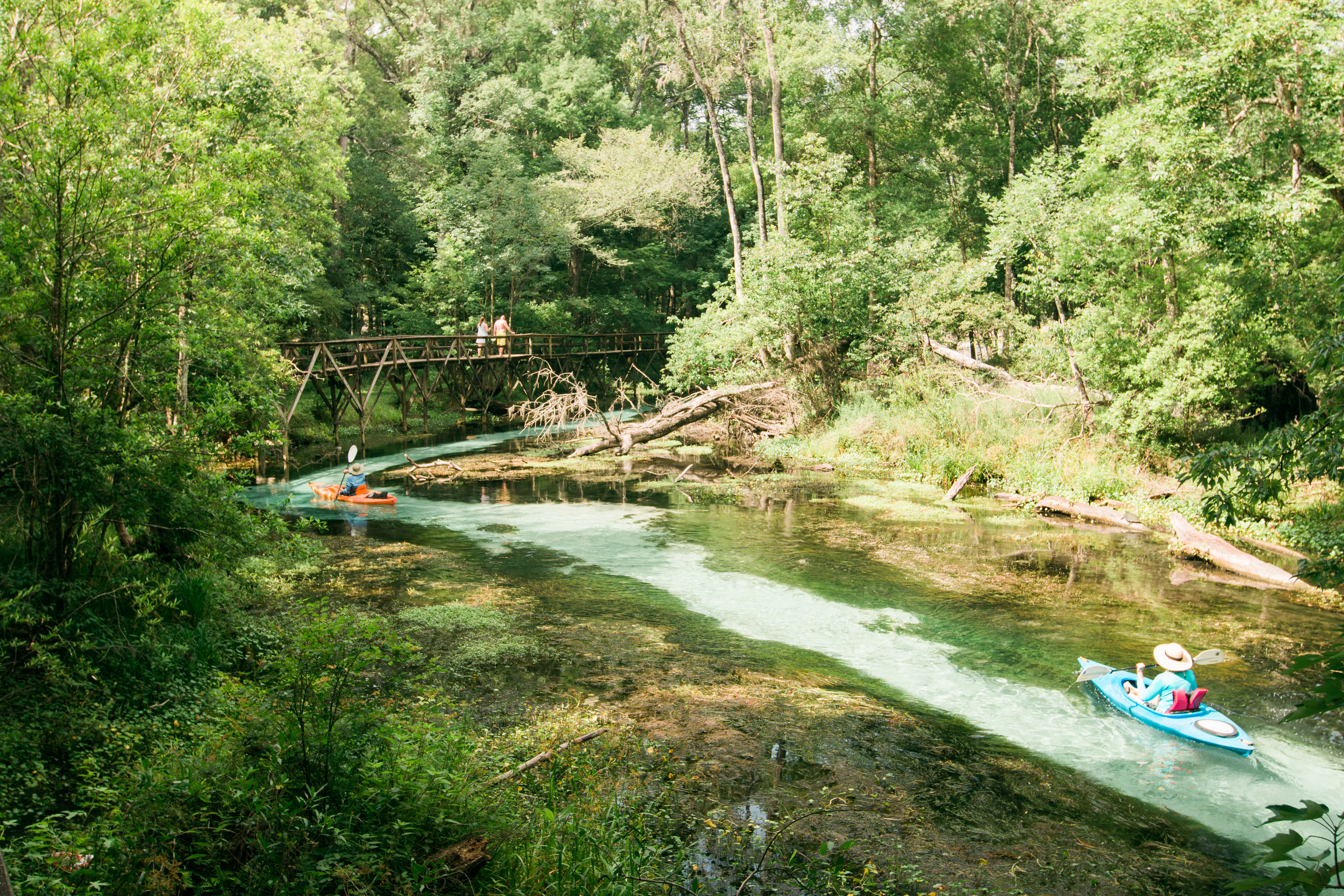 Swim at Blue Springs Park
