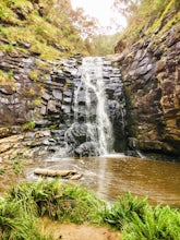 Backpack from Sheoak Falls to Sharps Track Camping Area