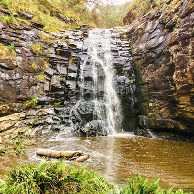 Backpack from Sheoak Falls to Sharps Track Camping Area