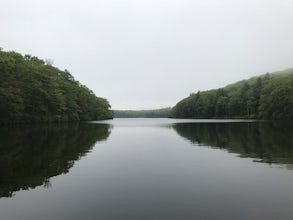 Hike the Benedict Pond Loop Trail