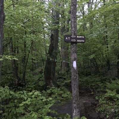 Hike the Benedict Pond Loop Trail