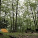 Camp at Beartown State Forest