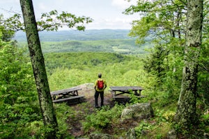 Hike the Lookout Trail in Beartown State Forest