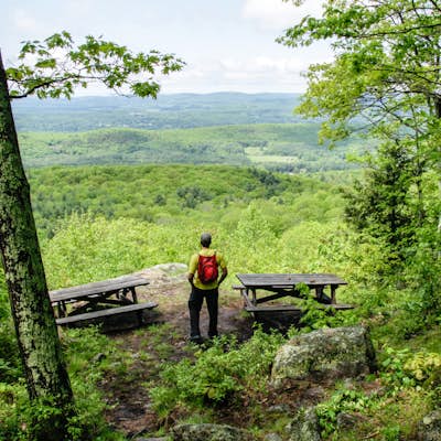 Hike the Lookout Trail in Beartown State Forest