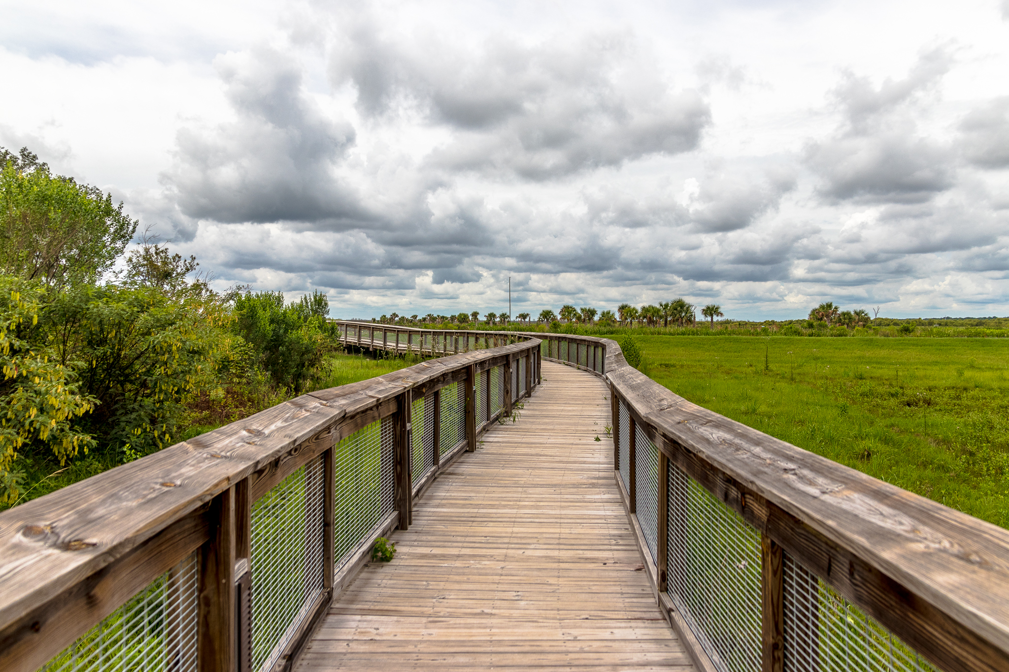 Sweetwater Wetlands Park Loop