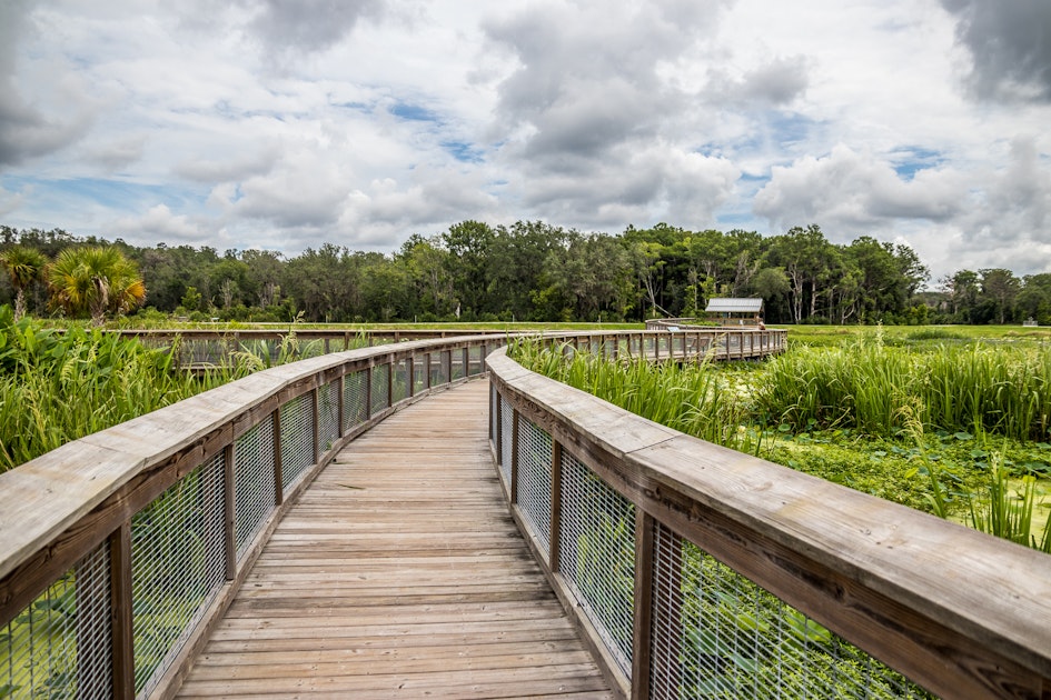 Hike through Sweetwater Wetlands Park, Gainesville, Florida