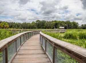 Sweetwater Wetlands Park Loop
