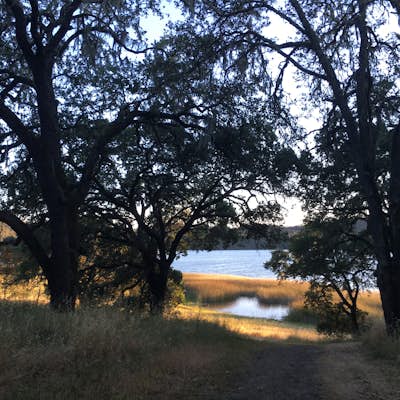 Hike the Lake Hennessey Loop
