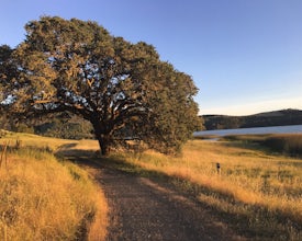 Hike the Lake Hennessey Loop