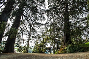 Explore the Dunedin Botanic Gardens