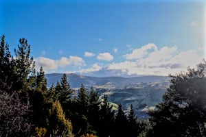 Hike to Signal Hill Lookout