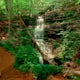 Hike to Bridal Veil Falls in Sewanee, TN