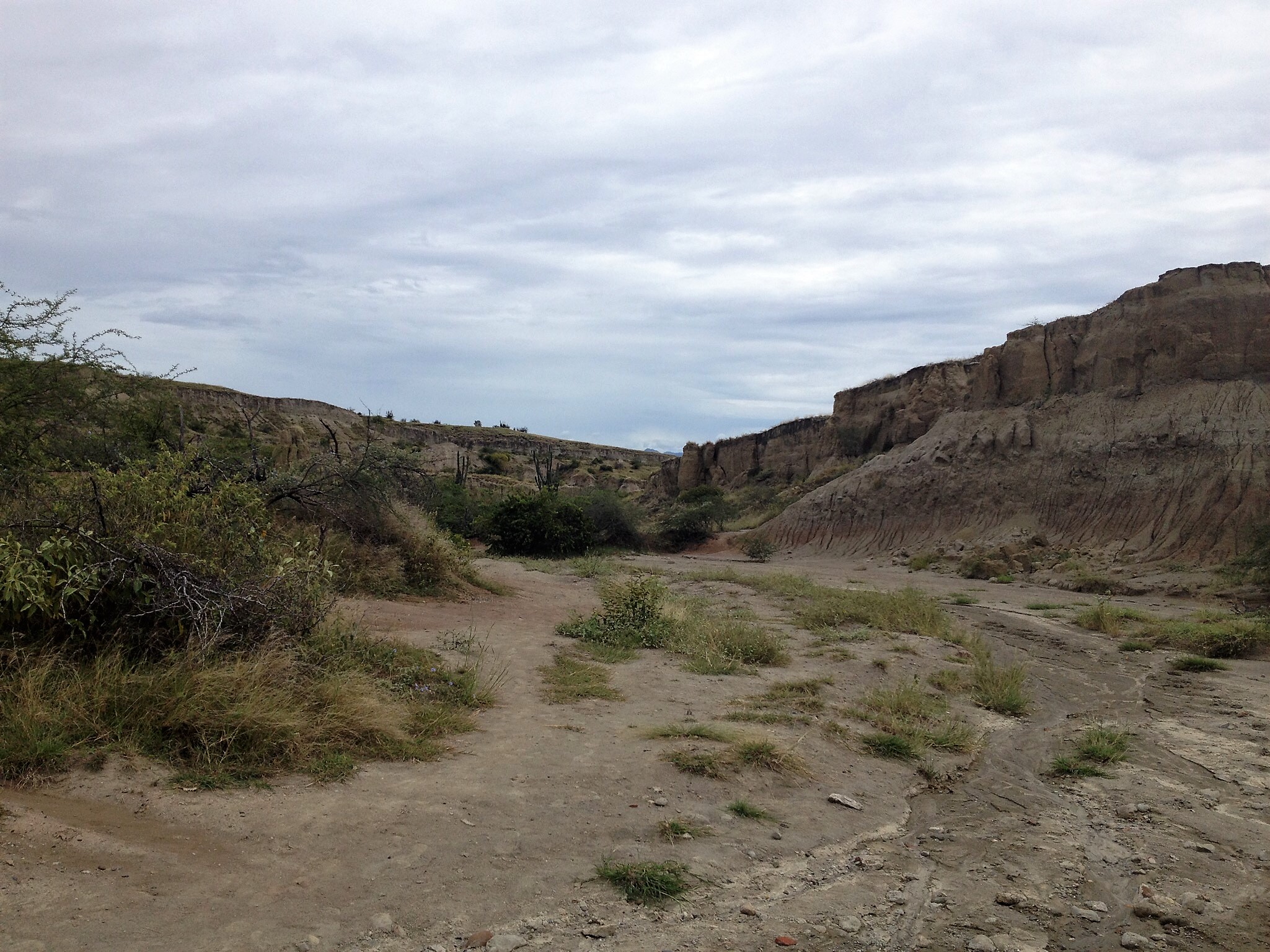 Hiking Los Hoyos