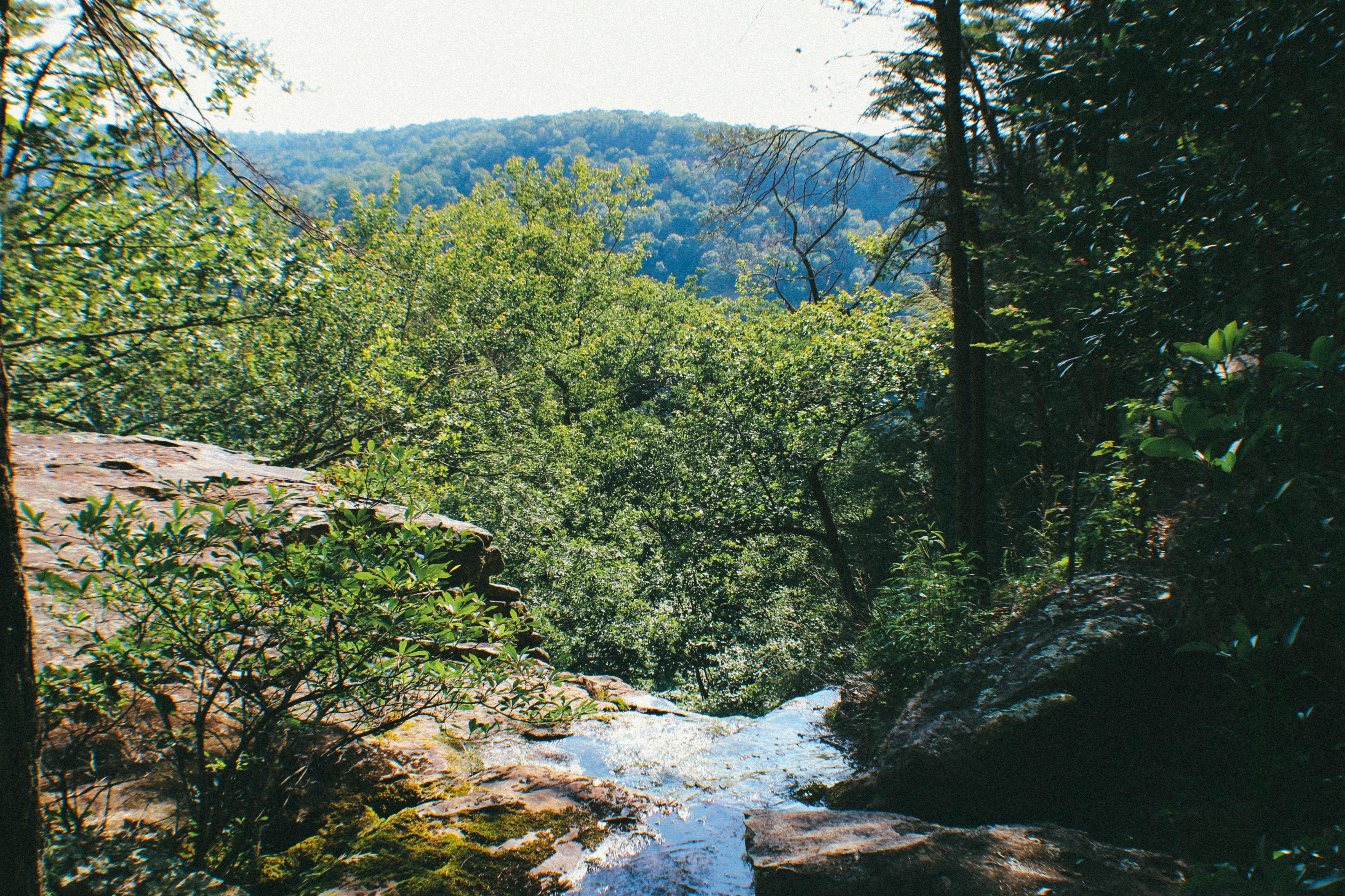 Hike the Fiery Gizzard Trail