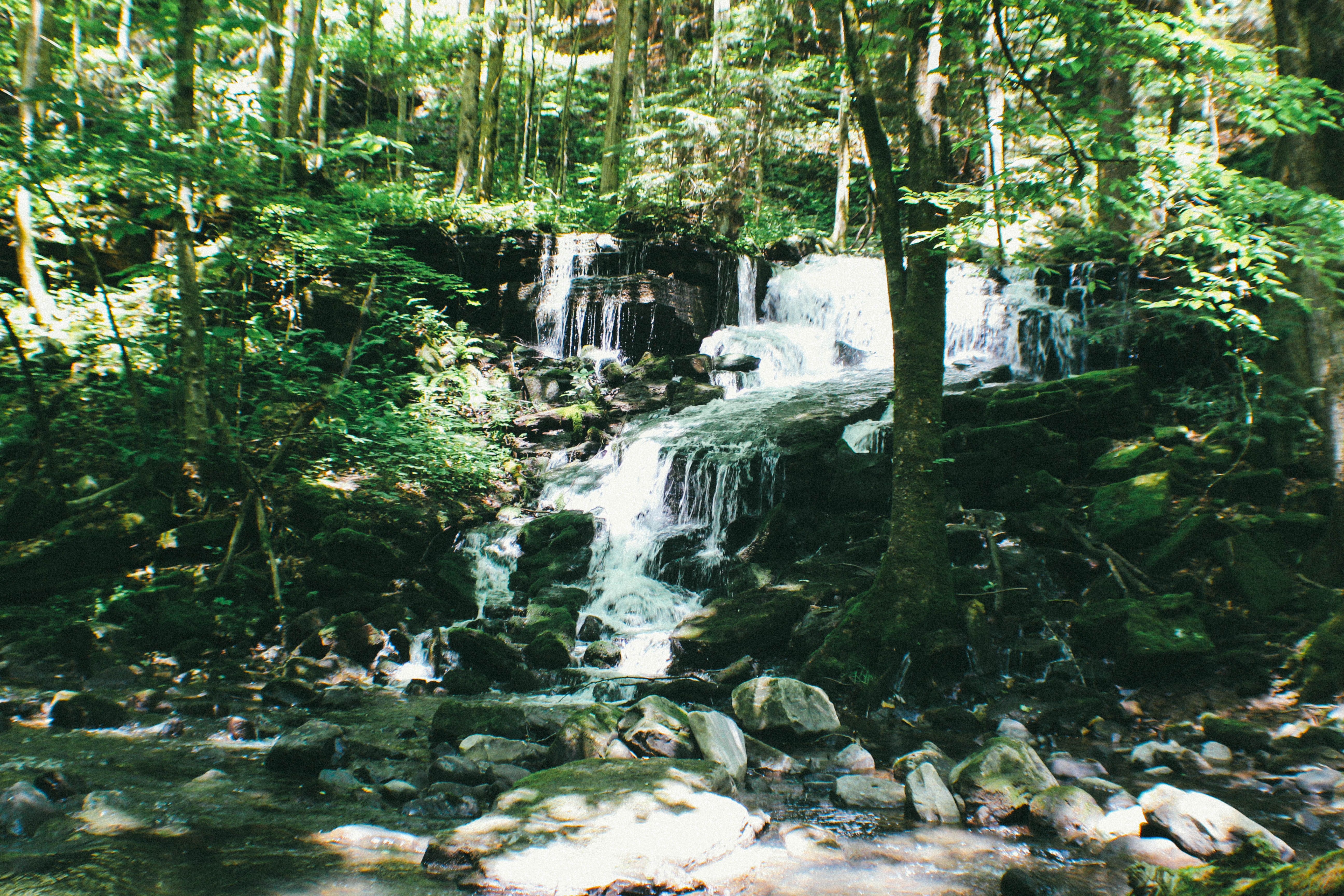 Hike the Fiery Gizzard Trail