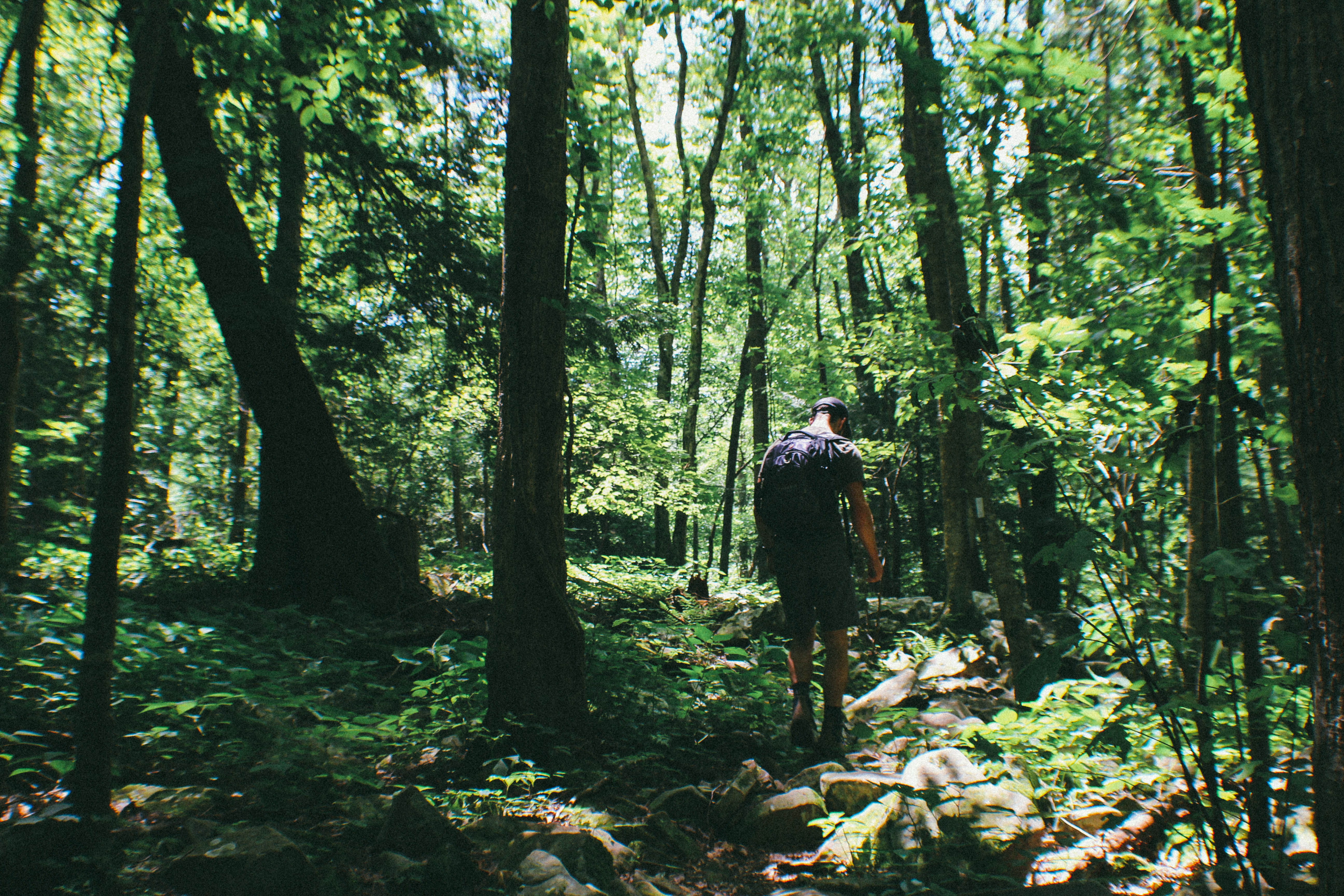 Hike the Fiery Gizzard Trail