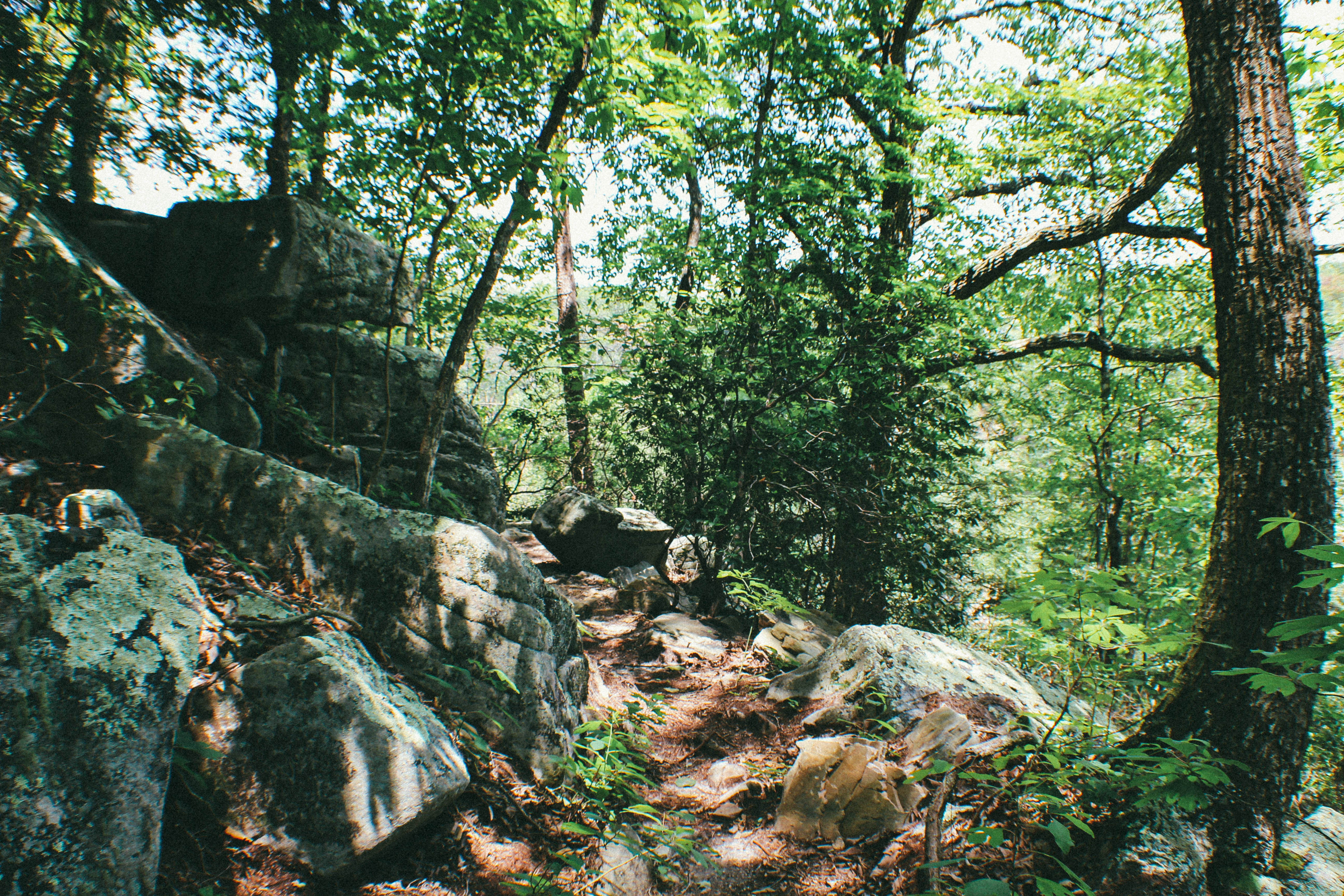 Hike the Fiery Gizzard Trail