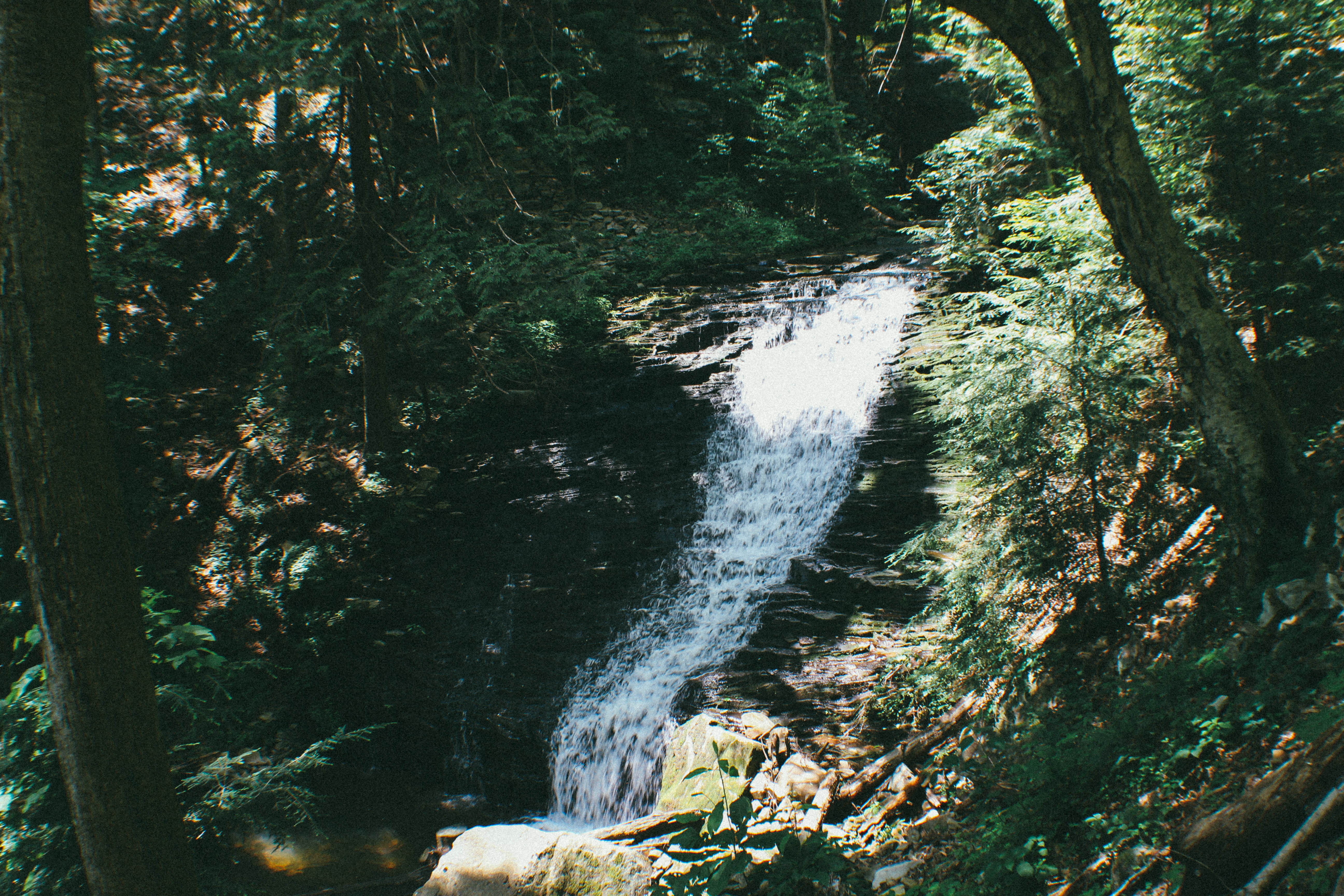 Hike the Fiery Gizzard Trail